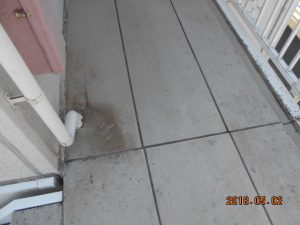 DSCN1489