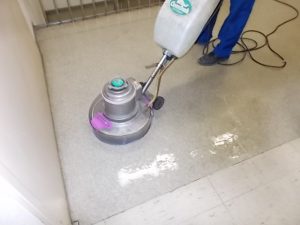 DSCN4449